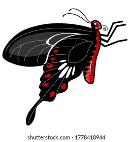 Mariposa de cola Swallowtail - vector de icono de rosa común sobre fondo blanco