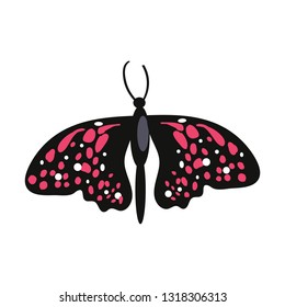 Swallowtail butterfly isolated vector. Butterfly garden, entomology, Lepidoptera, Insects concept. Vector can be used for topics like nature, biology, fauna