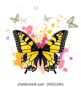 Swallowtail butterfly over bright background
