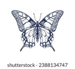 Swallowtail, vintage ink drawing. Outlined detailed retro-styled butterfly. Papilio Machaon, flying insect, tropical moth. Hand-drawn engraved vector graphic illustration isolated on white background