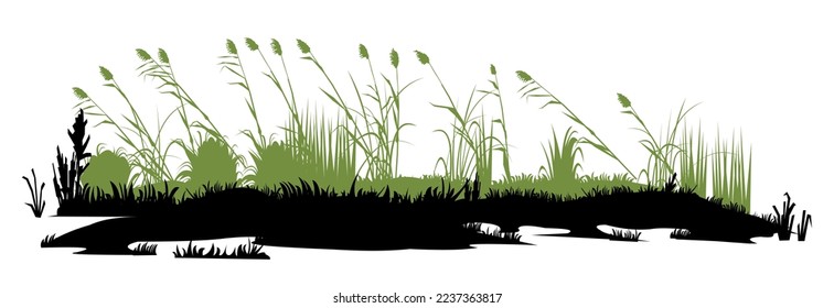 Swamp bumps. Thickets of reeds landscape. View of the river bank. Silhouette picture. Isolated on white background. Vector.