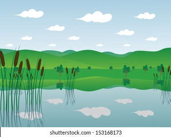 Cypress Tree Swamp Images, Stock Photos & Vectors | Shutterstock