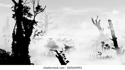 Swamp in the fog art. Black and white silhouette vector illustration of the bog with trees, fungus, stumps, grass, mist, plants, woods at morining.