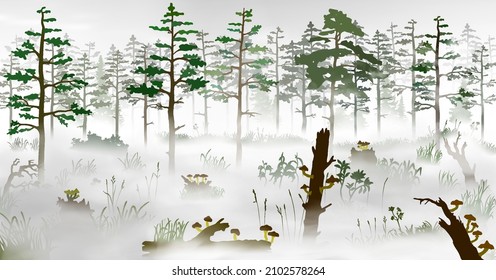 Swamp in the fog in front of the pine tree forest. Silhouette vector illustration of the bog with fallen trees, fungus, rotten stumps, mushrooms; grass, mist, plants, woods at morining.