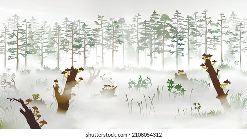 Swamp in the fog in front of the pine tree forest. Silhouette vector illustration of the bog with fallen trees, fungus, rotten stumps, mushrooms; grass, mist, plants, woods at morining.