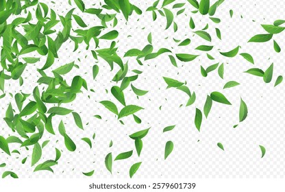 Swamp Foliage Abstract Vector Transparent Background Pattern. Fly Leaf Design. Forest Leaves Wind Banner. Greens Forest Illustration.
