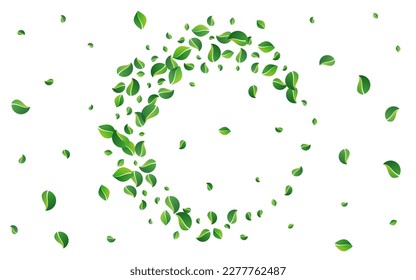 Swamp Foliage Abstract Vector White Background. Fresh Leaves Concept. Grassy Leaf Fly Backdrop. Greens Wind Poster.