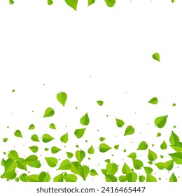 Swamp Foliage Abstract Vector White Background Concept. Flying Leaves Brochure. Mint Leaf Tree Poster. Greens Spring Plant.