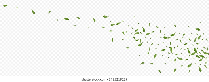 Swamp Foliage Blur Vector Panoramic Transparent Background Border. Ecology Leaf Brochure. Olive Leaves Fresh Backdrop. Greens Swirl Plant.