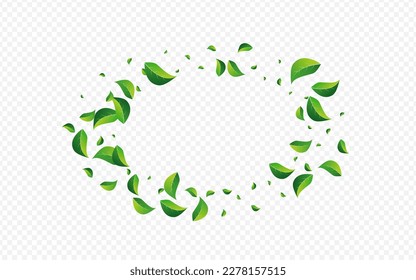 Fondo transparente del vector de desenfoque del flotador de pantano. Diseño de Verdes Orgánicos. Fondo De Ecología De Hojas Grasadas. Deja el Folleto de la Mosca.