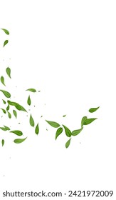 Swamp Foliage Blur Vector White Background Plant. Fresh Leaf Poster. Forest Leaves Tree Banner. Greens Organic Wallpaper.