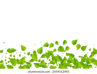 Swamp Foliage Blur Vector White Background Backdrop. Herbal Greens Border. Grassy Leaves Ecology Brochure. Leaf Organic Poster.