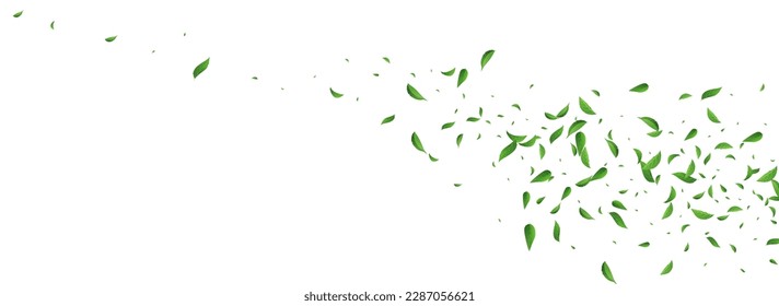 Swamp Foliage Ecology Vector Panoramic White Background Brochure. Herbal Greens Wallpaper. Forest Leaf Realistic Banner. Leaves Flying Poster.