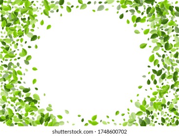 Swamp Foliage Falling Vector Design. Tree Leaf Illustration. Green Greens Blur Wallpaper. Leaves Flying Branch.