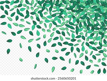 Swamp Foliage Falling Vector Transparent Background Design. Abstract Greens Plant. Olive Leaf Fresh Border. Leaves Blur Background.