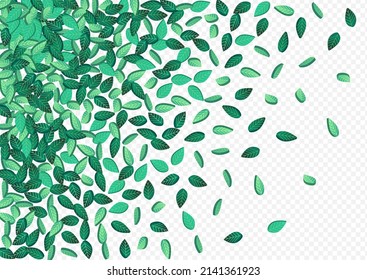 Swamp Foliage Fly Vector Transparent Background Plant. Abstract Leaf Branch. Mint Greens Forest Wallpaper. Leaves Fresh Backdrop.