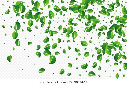 Swamp Foliage Fly Vector Transparent Background. Fresh Leaves Plant. Green Leaf Abstract Illustration. Greens Flying Backdrop.