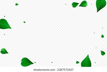 Concepto de fondo transparente del vector de vuelo del pantano. Borde de hojas de hierbas. Patrón transparente de los verdes olivos. Deja el diseño de la naturaleza.
