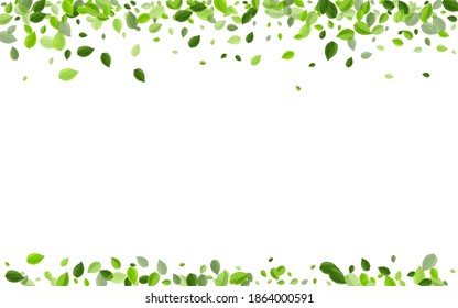 Swamp Foliage Flying Vector Plant. Wind Greens Banner. Green Leaf Tree Concept. Leaves Tea Background.