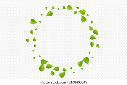 Swamp Foliage Flying Vector Transparent Background Illustration. Falling Leaf Concept. Mint Greens Motion Banner. Leaves Spring Poster.