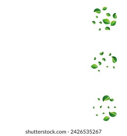 Swamp Foliage Flying Vector White Background. Tree Greens Plant. Olive Leaf Tea Branch. Leaves Herbal Poster.