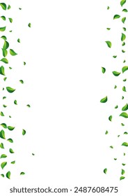 Swamp Foliage Flying Vector White Background. Tree Greens Plant. Grassy Leaf Ecology Poster. Leaves Forest Border.