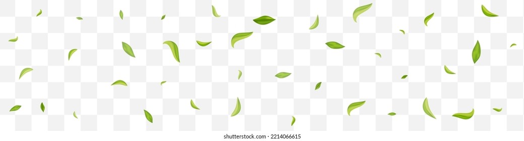 Swamp Foliage Forest Vector Transparent Panoramic Background Backdrop. Tea Leaf Border. Grassy Greens Organic Banner. Leaves Herbal Branch.