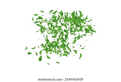 Swamp Foliage Forest Vector White Background Poster. Realistic Greens Plant. Olive Leaves Transparent Pattern. Leaf Ecology Template.