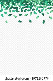 Swamp Foliage Fresh Vector Transparent Background Design. Flying Greens Illustration. Lime Leaves Tree Branch. Leaf Realistic Template.