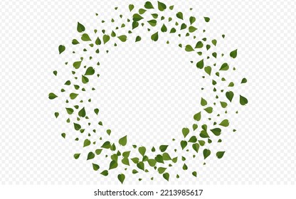 Swamp Foliage Fresh Vector Transparent Background Brochure. Ecology Leaves Pattern. Mint Greens Blur Backdrop. Leaf Wind Wallpaper.