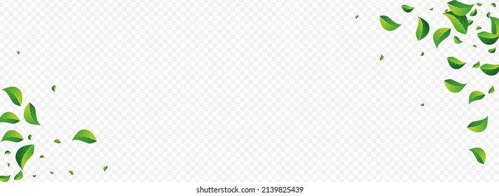 Swamp Foliage Motion Vector Panoramic Transparent Background. Nature Leaf Concept. Green Greens Realistic Border. Leaves Fly Template.