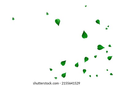 Swamp Foliage Motion Vector White Background Design. Tree Greens Plant. Lime Leaves Fly Brochure. Leaf Organic Backdrop.