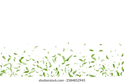 Swamp Foliage Motion Vector White Background Plant. Blur Greens Banner. Mint Leaves Fresh Wallpaper. Leaf Tea Branch.