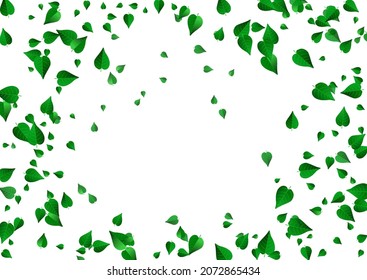 Swamp Foliage Nature Vector White Background Border. Falling Leaf Branch. Lime Leaves Fly Pattern. Greens Fresh Illustration.