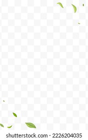 Swamp Foliage Organic Vector Transparent Background Concept. Motion Leaf Design. Green Greens Swirl Plant. Leaves Fly Backdrop.