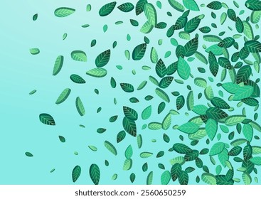 Swamp Foliage Realistic Vector Blue Background Plant. Fresh Greens Illustration. Mint Leaf Nature Design. Leaves Transparent Banner.