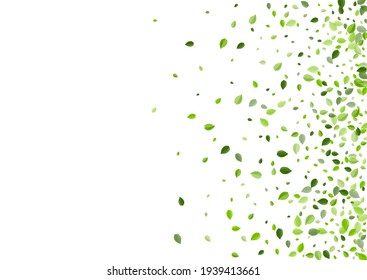 Swamp Foliage Realistic Vector Design. Swirl Leaf Wallpaper. Olive Greens Forest Illustration. Leaves Motion Border.