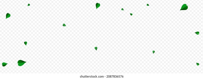 Swamp Foliage Realistic Vector Panoramic Transparent Background Backdrop. Swirl Leaves Banner. Mint Greens Wind Design. Leaf Transparent Wallpaper.