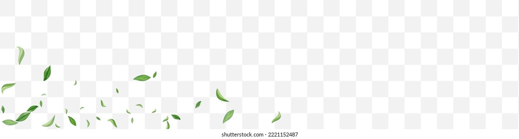Swamp Foliage Spring Vector Transparent Panoramic Background Plant. Nature Leaf Border. Lime Leaves Fly Illustration. Greens Ecology Poster.