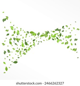 Swamp Foliage Spring Vector White Background Backdrop. Motion Leaves Wallpaper. Green Leaf Ecology Template. Greenery Swirl Concept.
