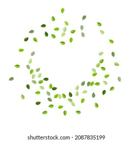 Swamp Foliage Swirl Vector Branch. Fresh Leaf Illustration. Green Leaves Motion Pattern. Greens Realistic Template.