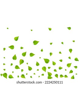 Borde de fondo blanco del vector giratorio del flotador del pantano. El fondo de la caída de los verdes. Grassy deja un folleto abstracto. Leaf Concepto Realista.