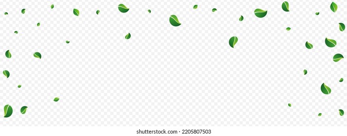 Swamp Foliage Tea Vector Panoramic Transparent Background. Spring Leaf Wallpaper. Green Leaves Flying Pattern. Greens Wind Brochure.