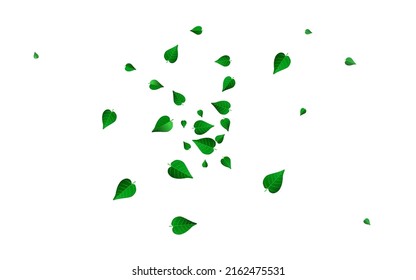 Swamp Foliage Tea Vector White Background Wallpaper. Motion Leaves Plant. Lime Greens Ecology Concept. Leaf Nature Template.