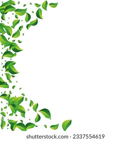 Swamp Foliage Tea Vector White Background. Flying Greens Banner. Lime Leaves Swirl Branch. Leaf Organic Plant.