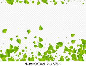 Swamp Foliage Transparent Vector Transparent Background Pattern. Flying Leaves Backdrop. Green Greens Motion Wallpaper. Leaf Wind Border.