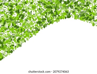 Swamp Foliage Tree Vector Concept. Tea Greens Branch. Lime Leaves Motion Illustration. Leaf Falling Background.