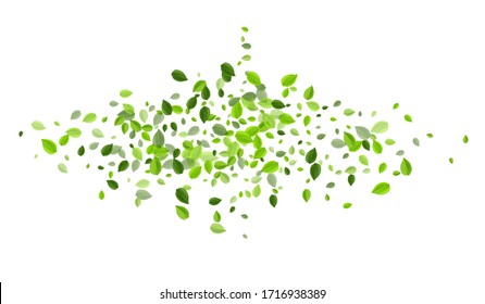 Swamp Foliage Tree Vector Illustration. Spring Leaf Banner. Mint Leaves Forest Background. Greens Flying Pattern.