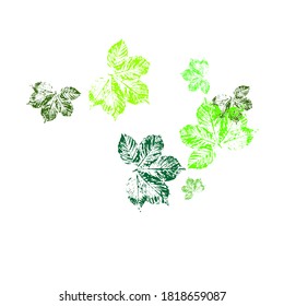Swamp Foliage Tree Vector Illustration. Hand painted plants, branches, leaves on white background. Great spring sale vector illustration.