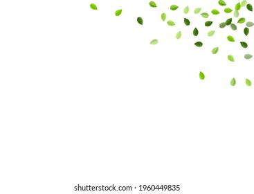 Swamp Foliage Tree Vector Illustration. Fresh Leaf Brochure. Lime Greens Fly Branch. Leaves Blur Wallpaper.